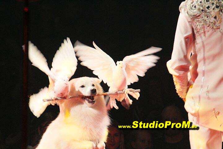 Das_Premierenforum_mit_Gaby_Ballmann&Hans-Joerg_Loh_auf_97,6MHz